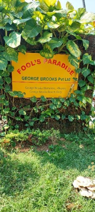 Fool'S Paradise Bed & Breakfast Alappuzha Luaran gambar