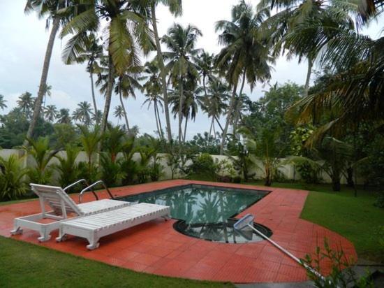 Fool'S Paradise Bed & Breakfast Alappuzha Luaran gambar